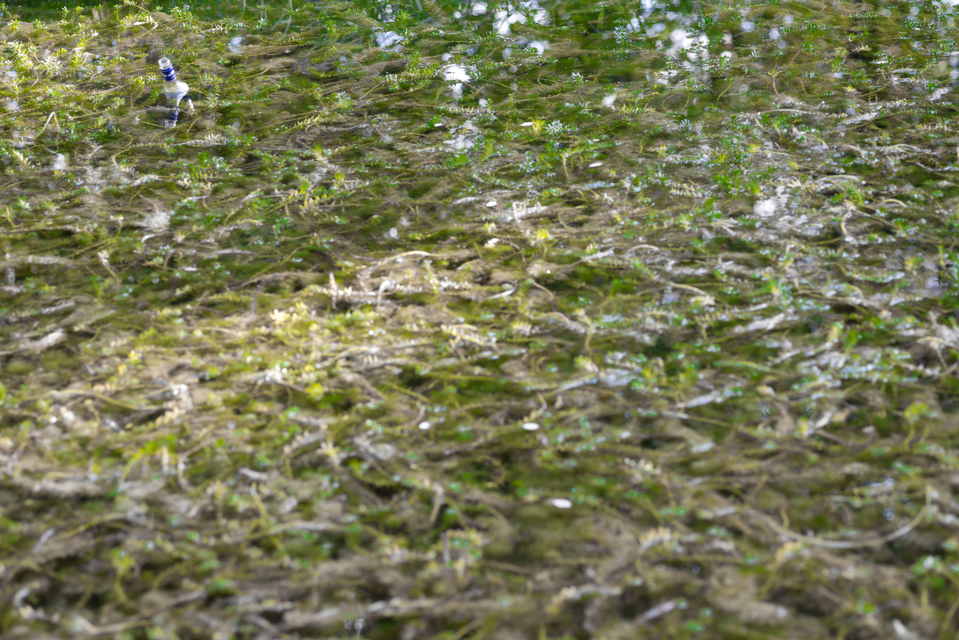 Wodka plus a Lot of Water - ID 008104