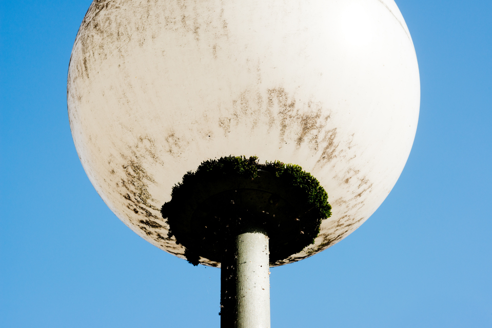 Electic Sun - ID 008120