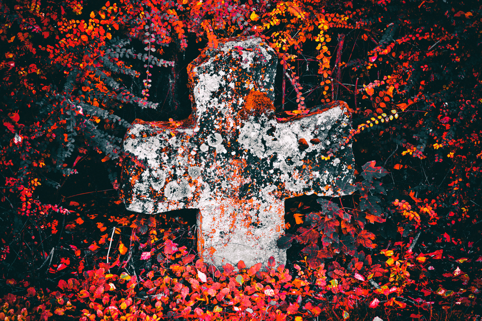 Cross in Red - ID 008137