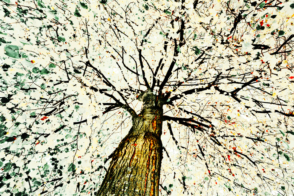 Painted Tree - ID 008151