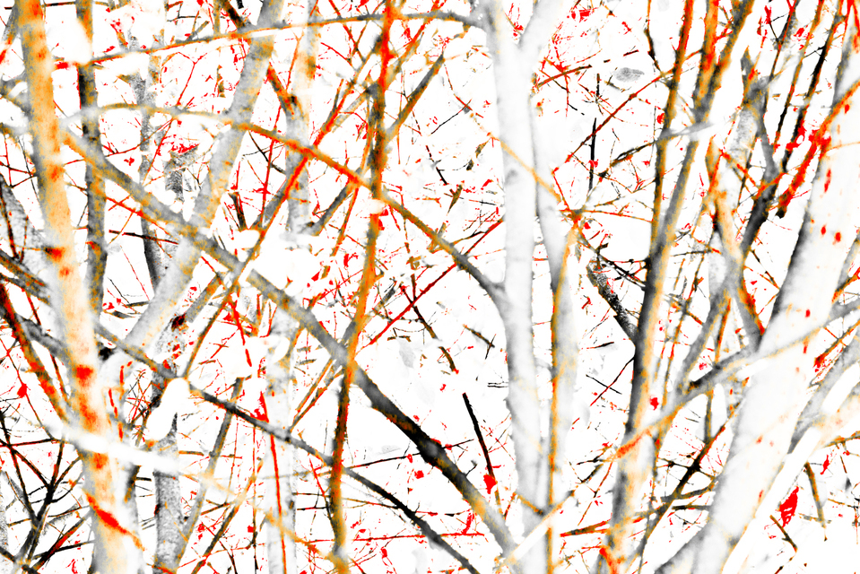 Bloody Tree - ID 008154