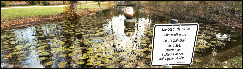 Own Risk - ID 008201