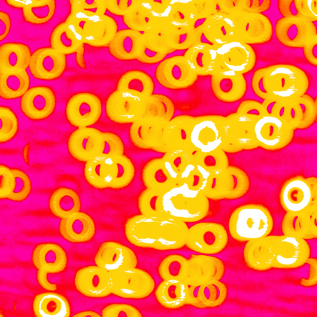 Sunlight in Water III - ID 008259