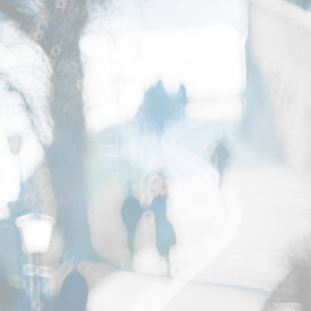 At the Danube - ID 008276