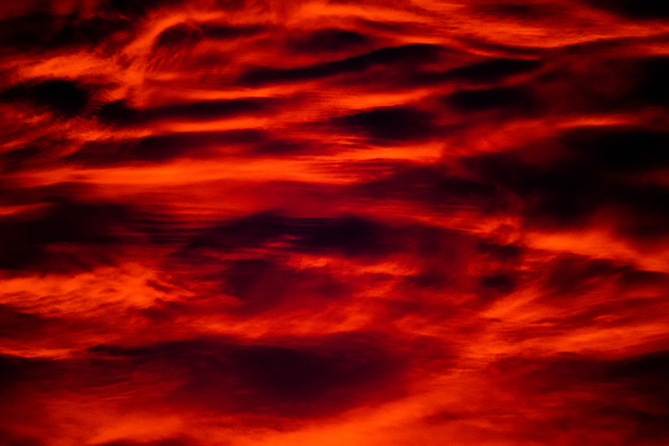 Red Sunset IV - ID 008290