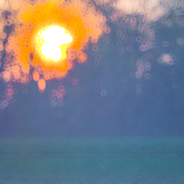 Sunset seen through Trees I - ID 008312