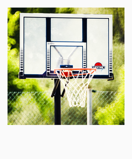 LIFETIME - ID 008318