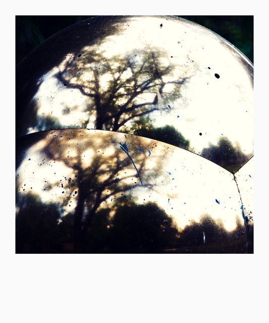 Tree in Bubble - ID 008326