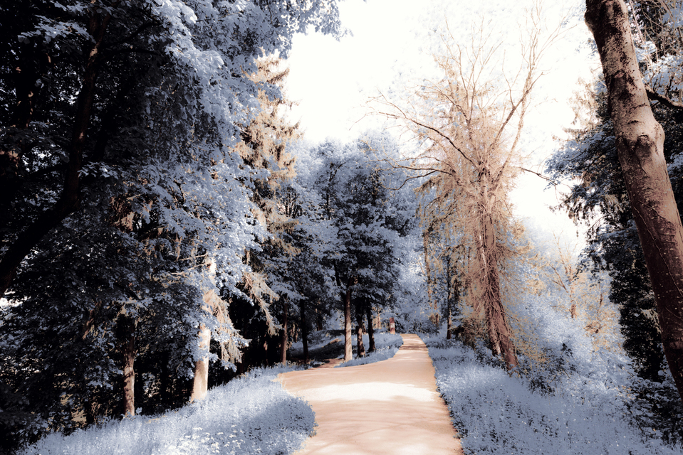 Glacis Wall Path I - ID 008327