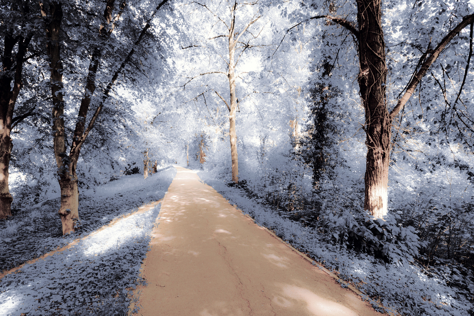 Glacis Wall Path II - ID 008328