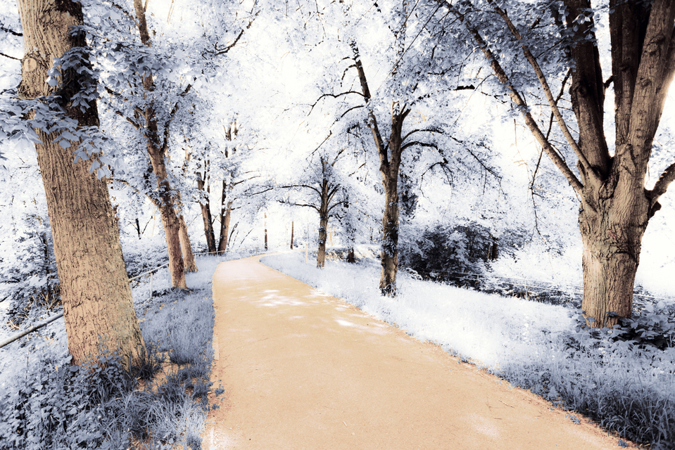 Glacis Wall Path IV - ID 008331