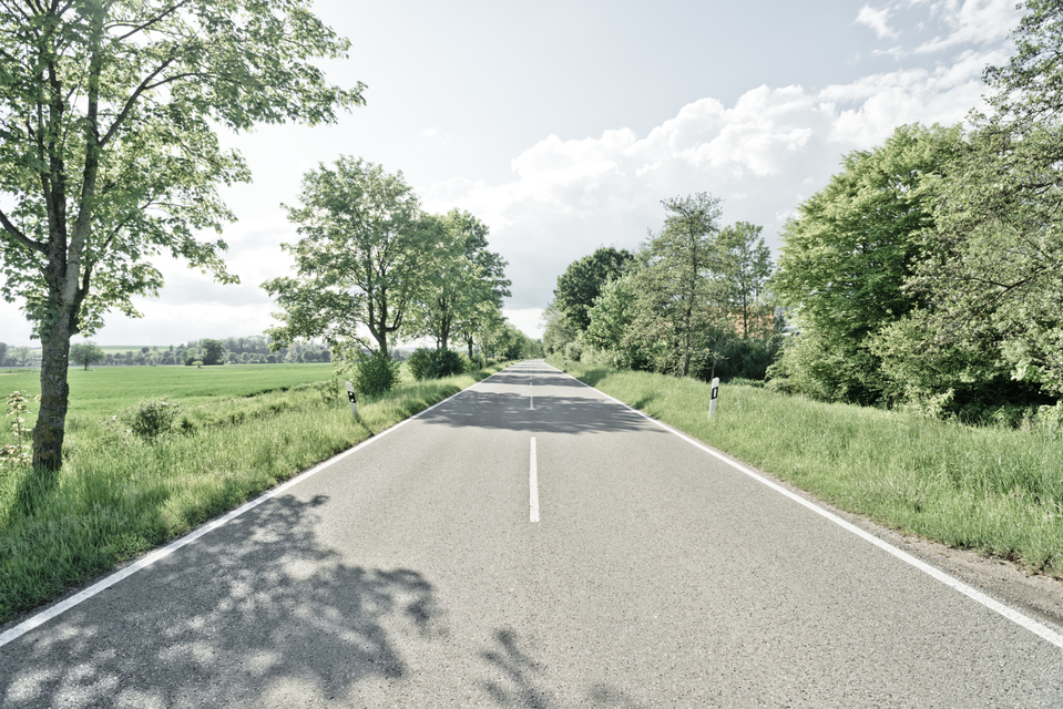 Shadows on the Street - ID 008334