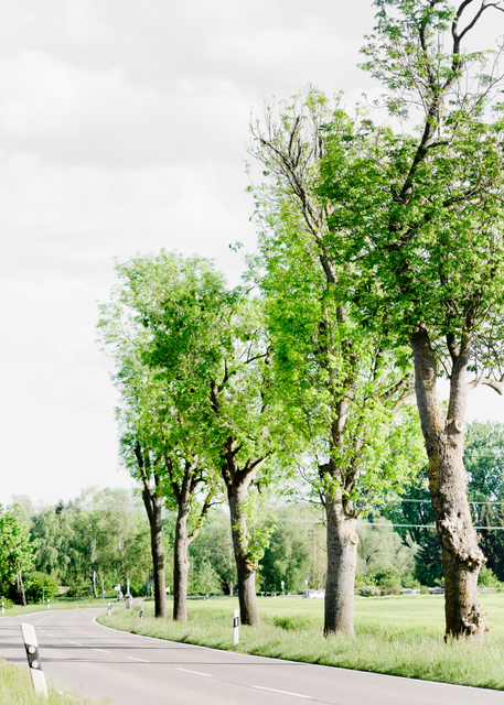 5 at the Street - ID 008339