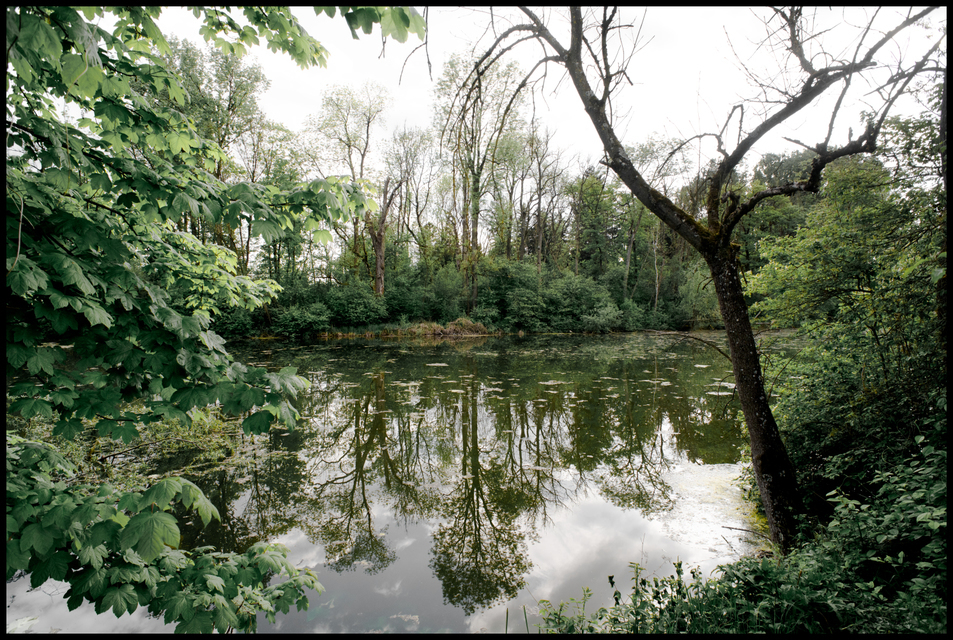 Old Danube - ID 008348