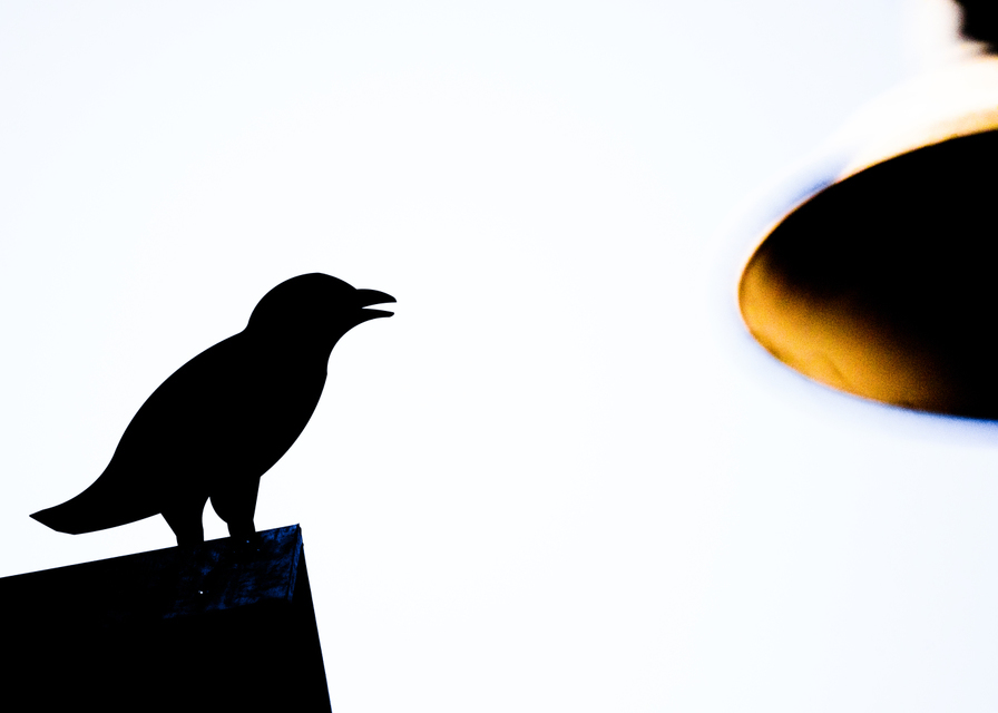 Bird on the House II - ID 008403