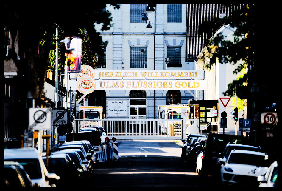 Fluid Gold of Ulm - ID 008406