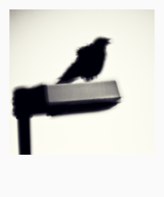 On Lights II - ID 008423