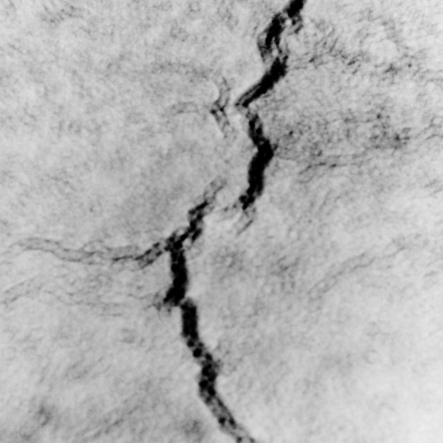 Broken II - ID 008431