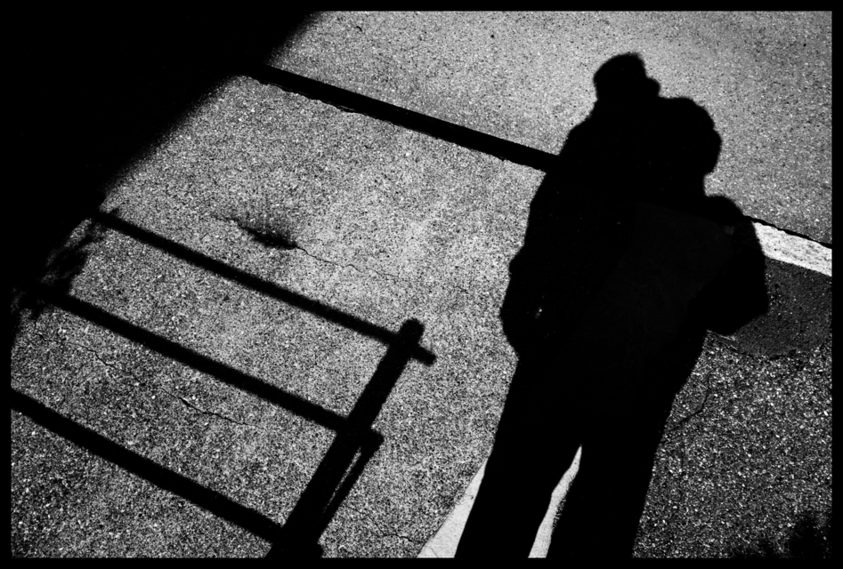 Fence of no Value - ID 008442