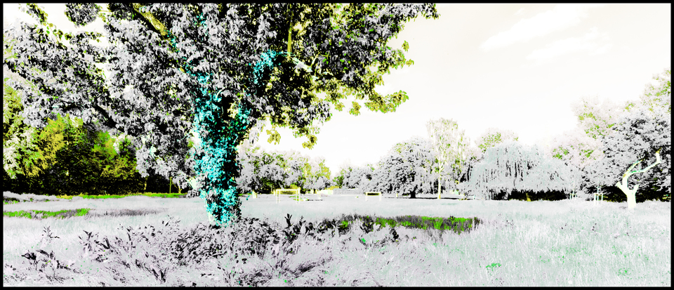 Park in Grey - ID 008460