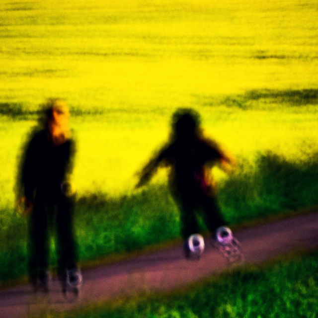 In Line Between Fields - ID 008472