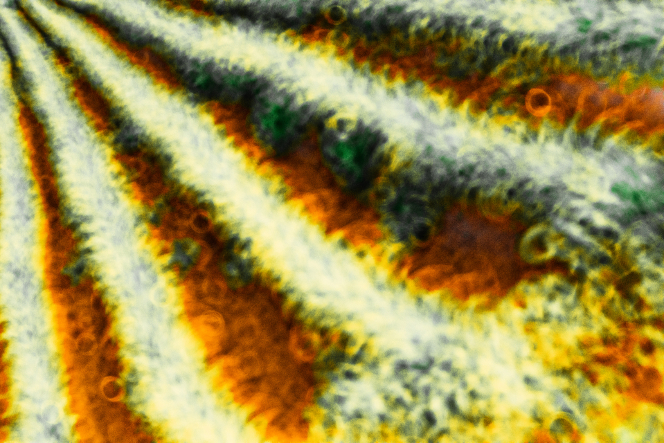 Neo Field - ID 008478