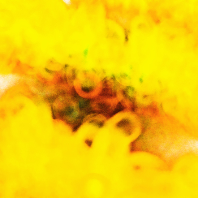 Ring Field III - ID 008484