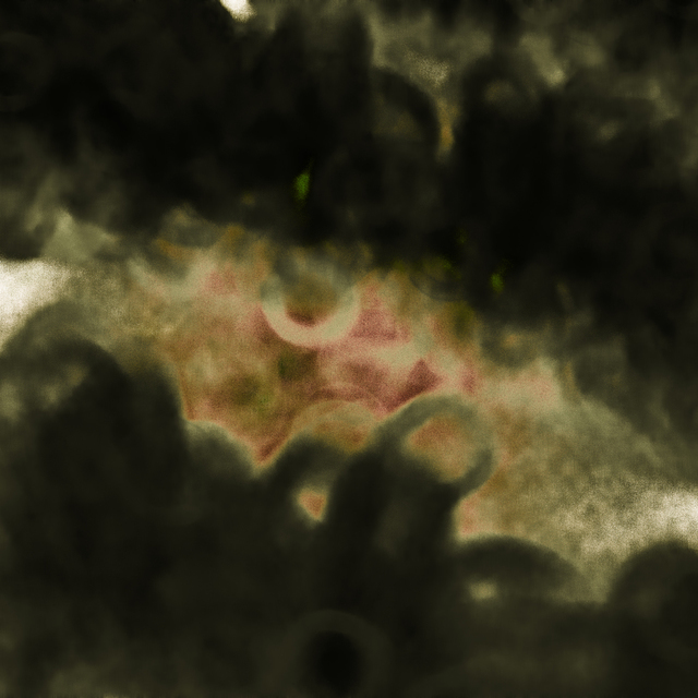 Ring Field IV - ID 008485