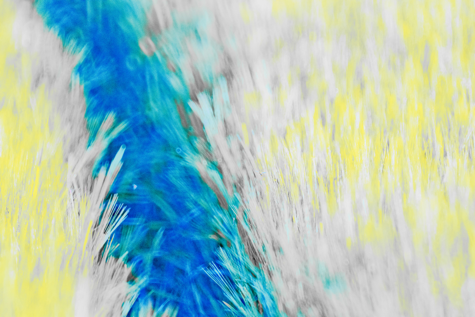 Water Blue and Field II - ID 008492