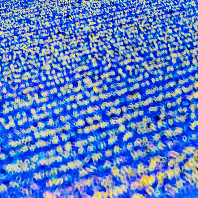 Blue Field - ID 008493