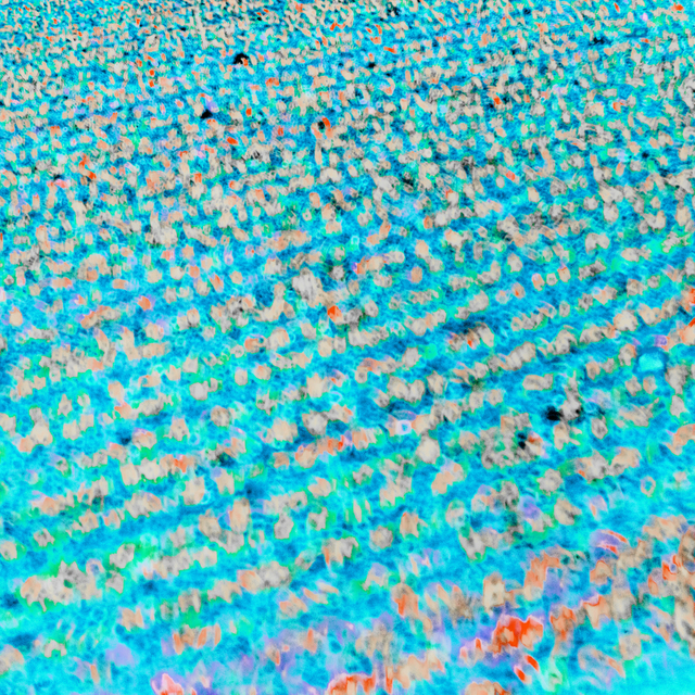 Cyan Field - ID 008496