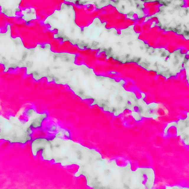 Pink Field - ID 008505