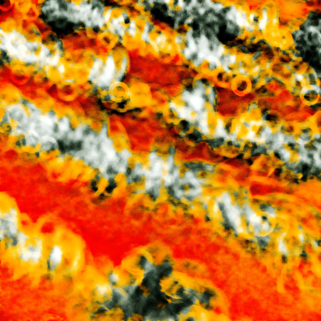 Orange Red Field - ID 008507