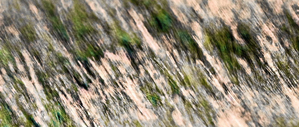 Brush Field Detail - ID 008523