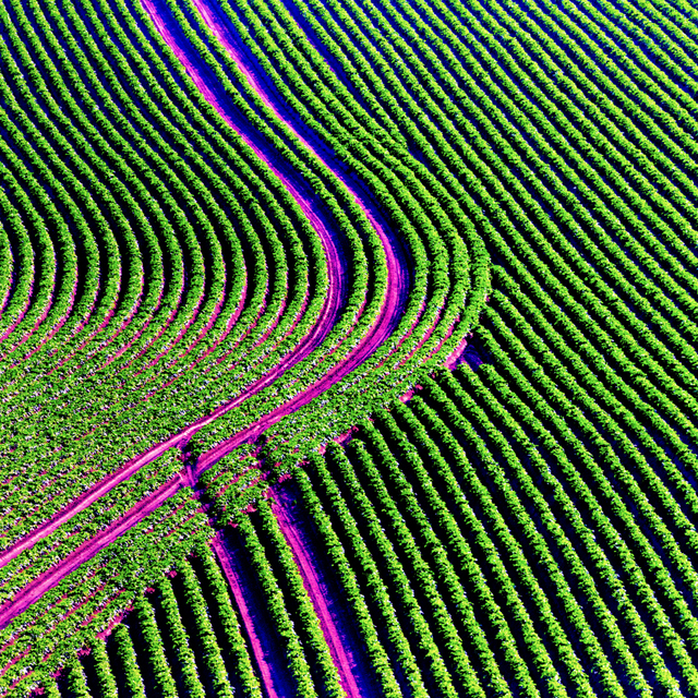 Country Turnout - ID 008562