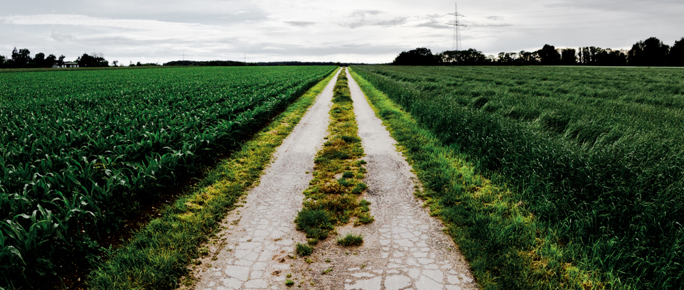 The Path to West - ID 008640