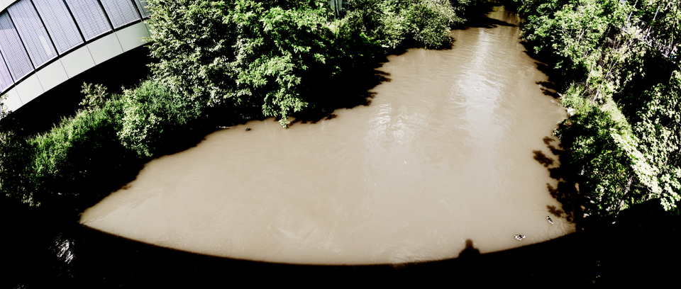 Not Blue Danube - ID 008651