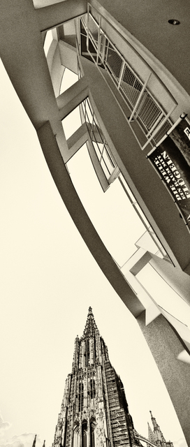 Looking Up - ID 008659