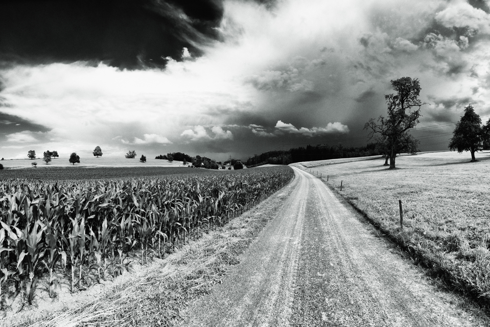 Clouds in Front - ID 008677