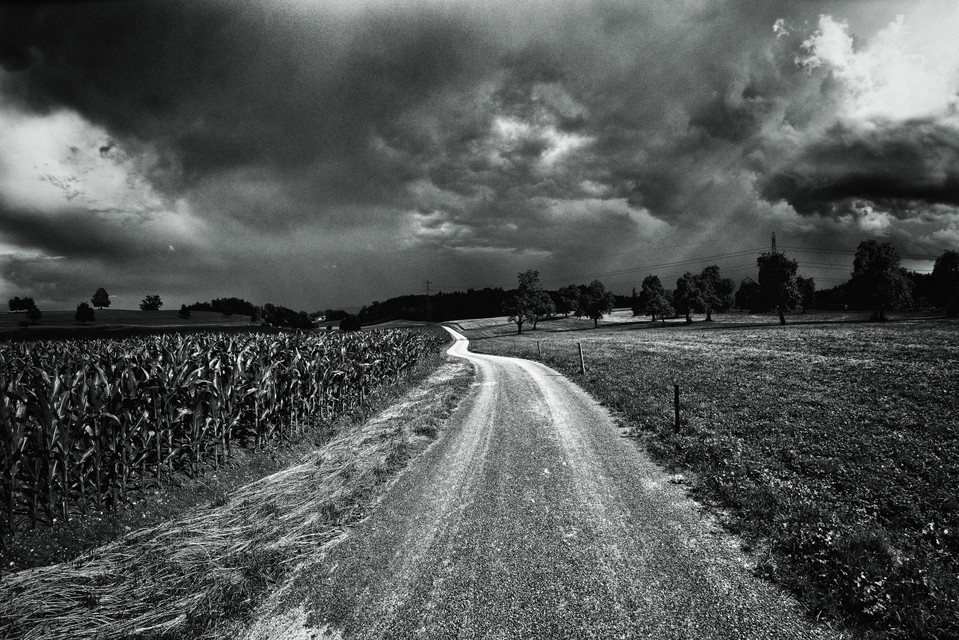 Into the Dark - ID 008681