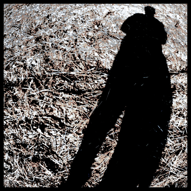 Photographer - ID 008720