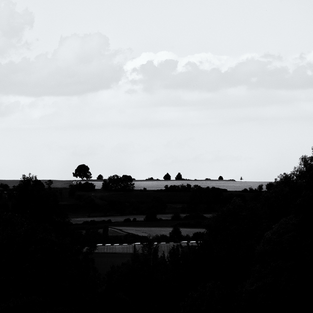 Industry Hide - ID 008763