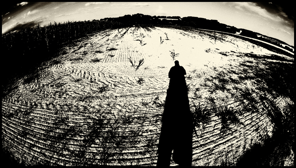 Curved Sky II - ID 008767