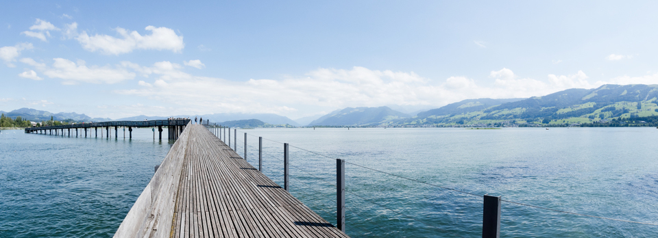 Lake Zurich II - ID 008780