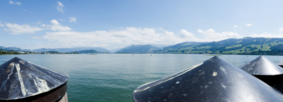 Lake Zurich IV - ID 008782