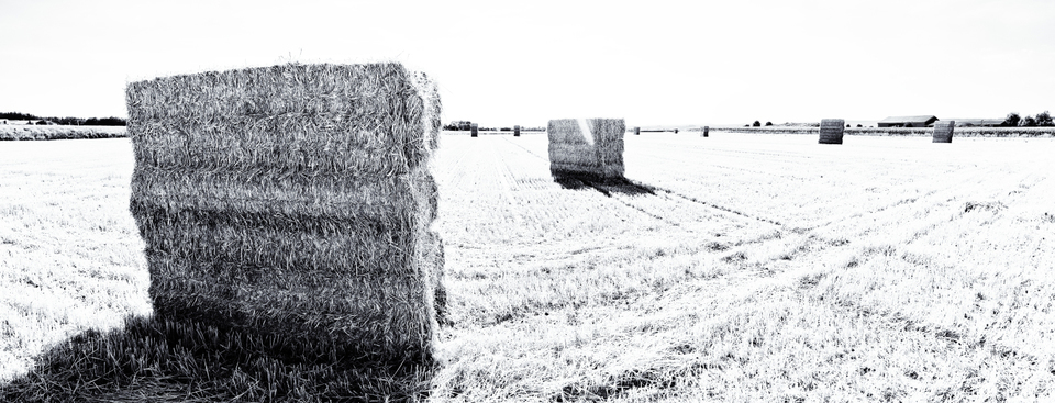 Straw II - ID 008789