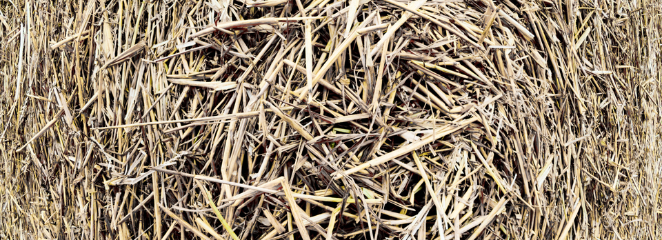 Straw Role I - ID 008794