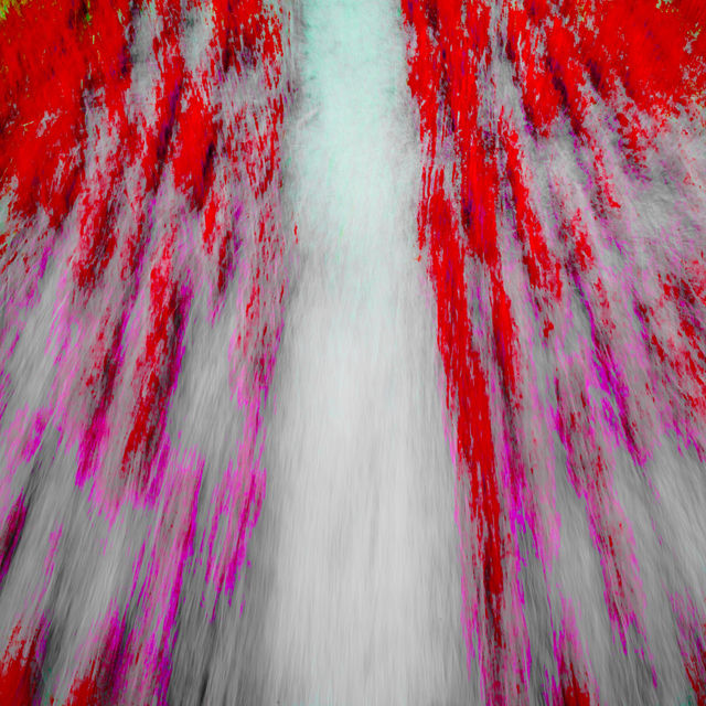 Straw Field Red - ID 008800