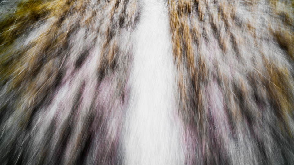 Straw Field Color I - ID 008801