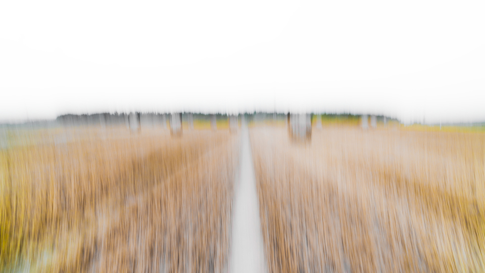 Straw Field Roles I - ID 008804